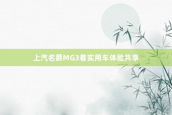 上汽名爵MG3着实用车体验共享
